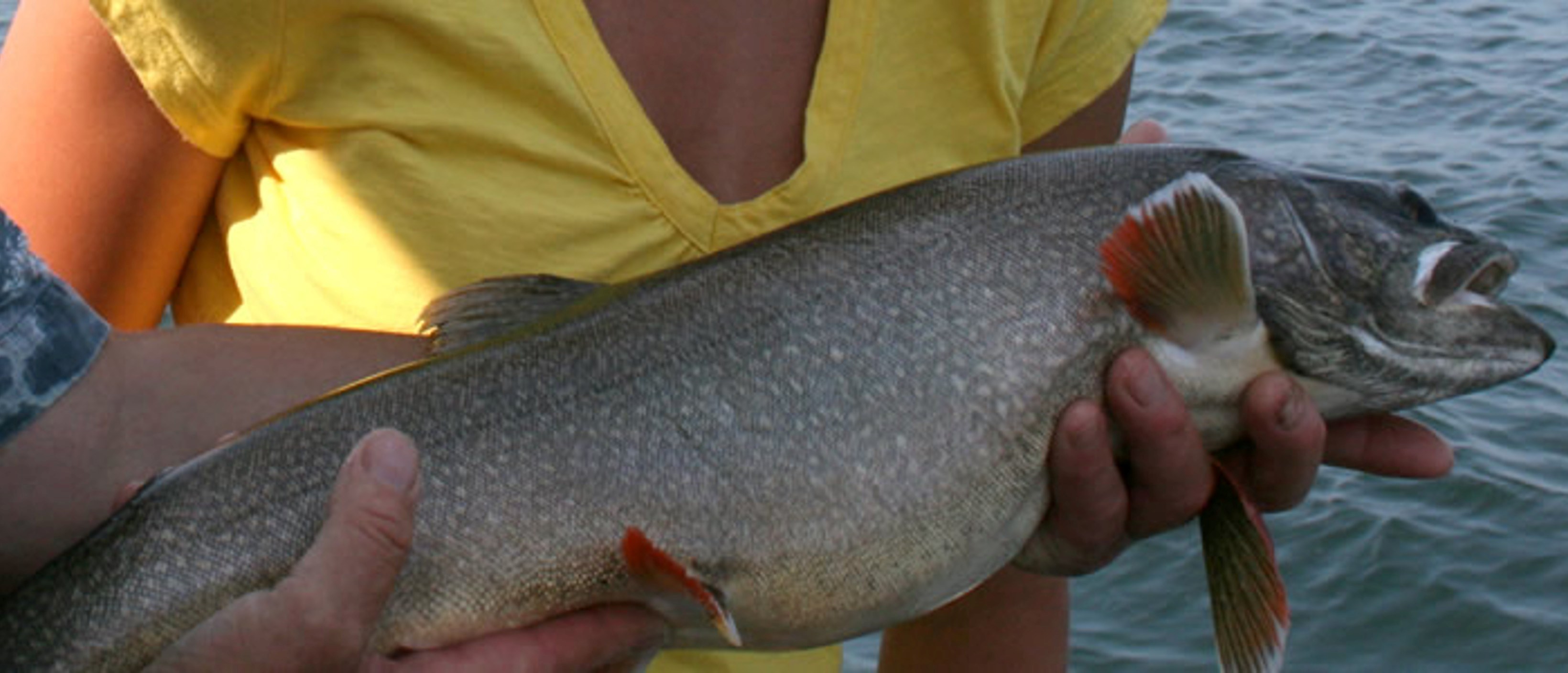 Home Walker's Guide Service Green Lake, WI